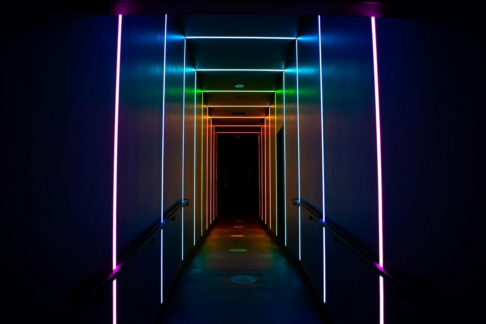 www.d-lighted.com